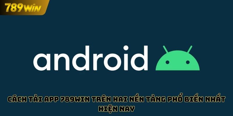 Cách tải app 789WIN trên hai nền tảng phổ biến nhất hiện nay